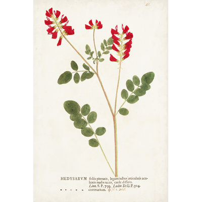 Nature Printed Botanicals III 1 Piece Wrapped Canvas Wall Art