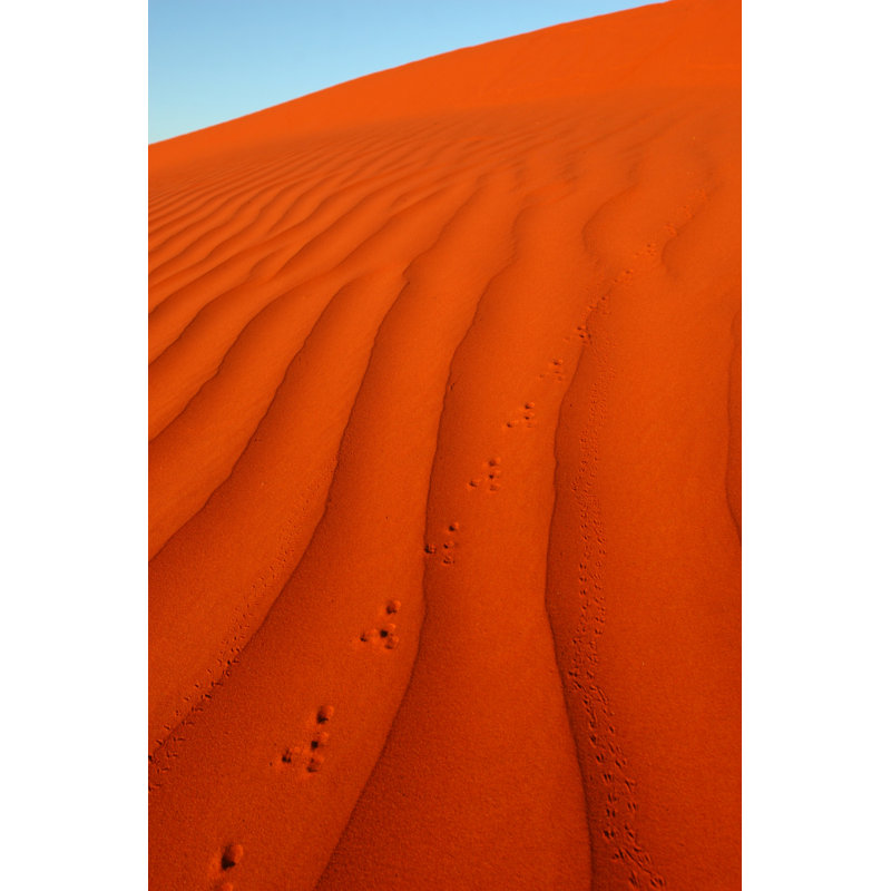 Foot Prints In Desert Sands - Wrapped Canvas Print, 76cm H x 51cm W x 3.8cm D