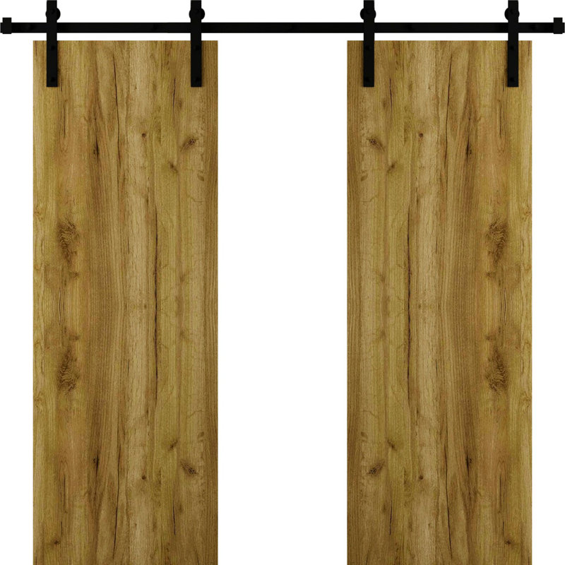 Porte de grange moderne - ESSENTIEL 8001 - Ensemble de quincaillerie lourde sur rail 6,6 pi - Portes intérieures à panneau plein