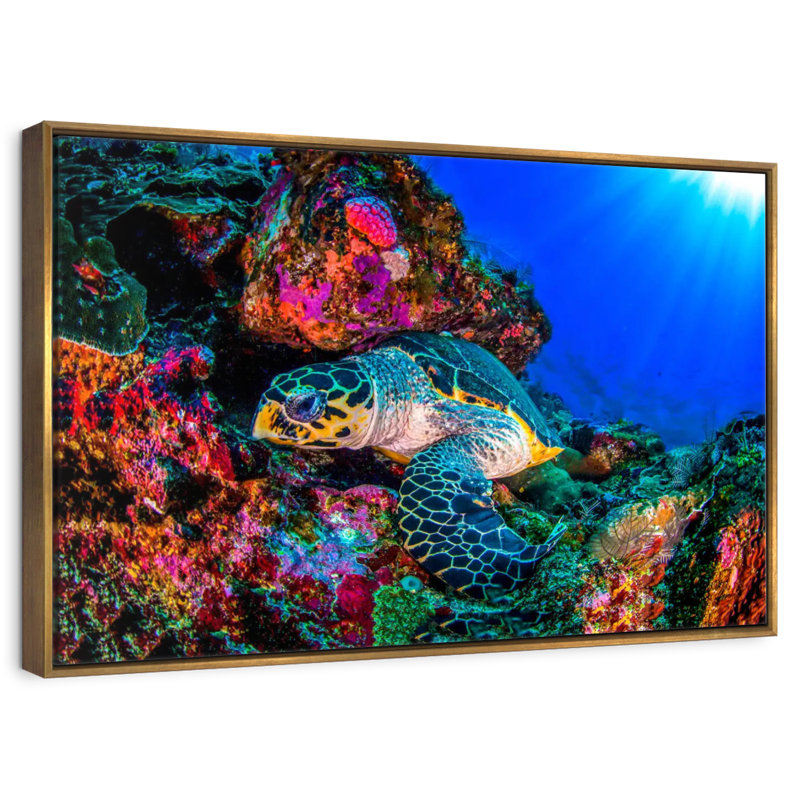 Tortue océan monde, Cadre flottant doré, 19 po x 13 po