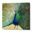 «Blue Peacock» par Danhui Nai, art mural sur toile-26609786