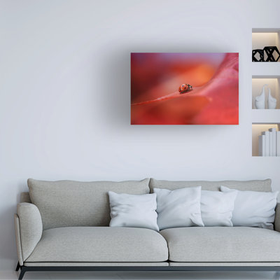Ellen Van Deelen Autumn Canvas Art