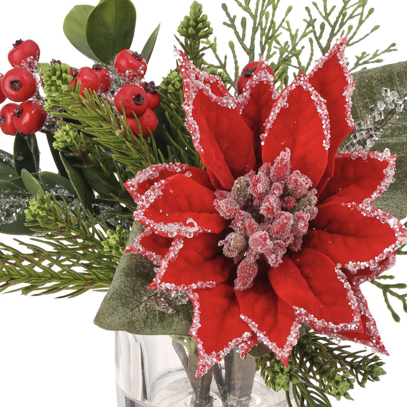 Arrangement de poinsettia glacé 9 po