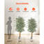 Faux Ficus Tree in Pot-1879489429