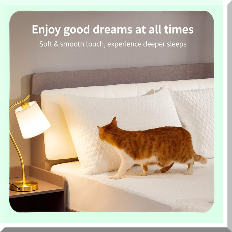 SleepGuard Queen Pillow Protectors - Waterproof Zippered Covers for Allergen-Free Sleep. Premium Encasement Set of 2 for Better Rest. Oeko-Tex Certified.