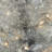 Silver Pre-Lit Pine Christmas Tree-1617343799