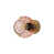 Gold/Pink