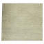 Area Rug in Beige