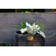 Alessio Metal Pot Planter