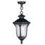 Luminaire suspendu d'extérieur Arelene-1127152961-1127152991