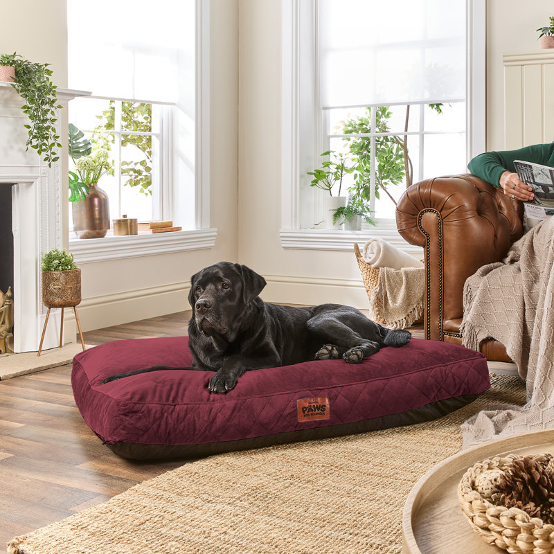 Slumberdown Paws for Slumber Raised Padded Dog Bed – Comfortable, Supportive & Durable Pet Bed for All Breeds, Green