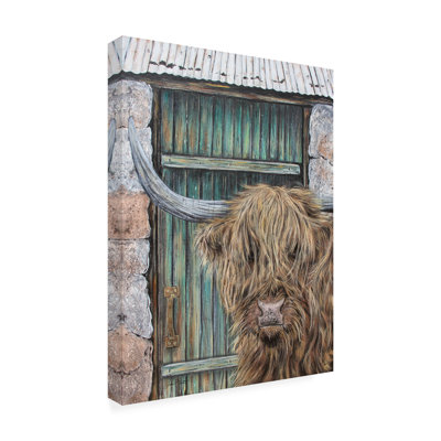 Animaux, vache Highland près de la porte de grange A