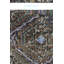 Jijim One-of-a-Kind 5'10" X 9'11" Area Rug