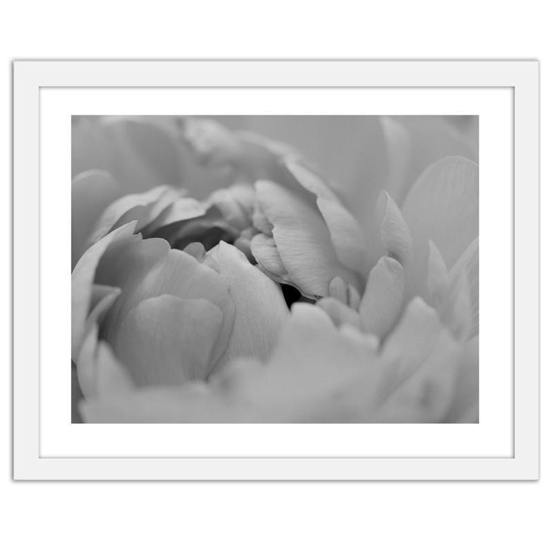 Gerahmter Fotodruck White Flowers Macro