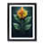 Black Framed selected