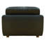 Fauteuil en cuir fleur l 49 po Jayson-59795976
