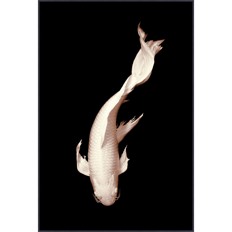 White Koi 2 Print by Mat Sanders
