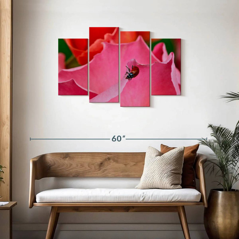 Coccinelle Brampt sur une rose I