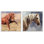  «Rustic Stallions Portraits», ensemble de 2 estampes numériques par Nina Blue