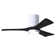 Olivier Ceiling Fan with LED Lights