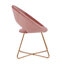 Zed 68cm Wide Velvet Papasan Chair-74570672-49351483