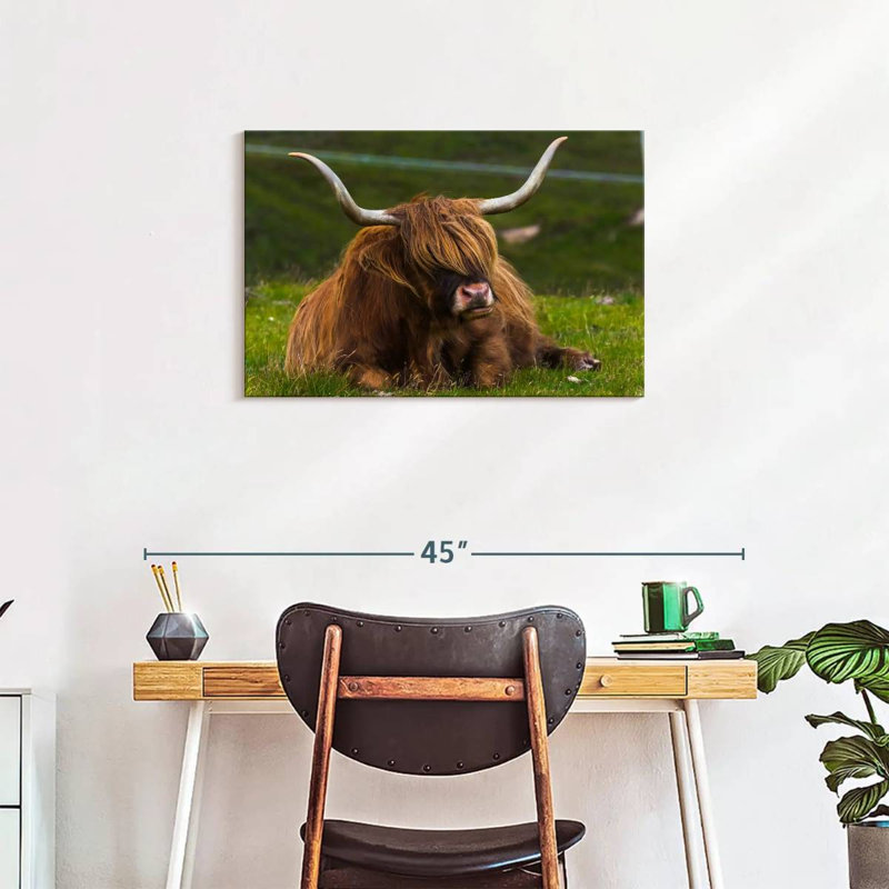Highland Cow On Grass, 20" H x 30" W