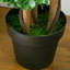 Topiaire de buis artificiel en pot-1232406461-1245143343