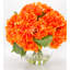 Véritable hydrangée dans un vase-1721809809