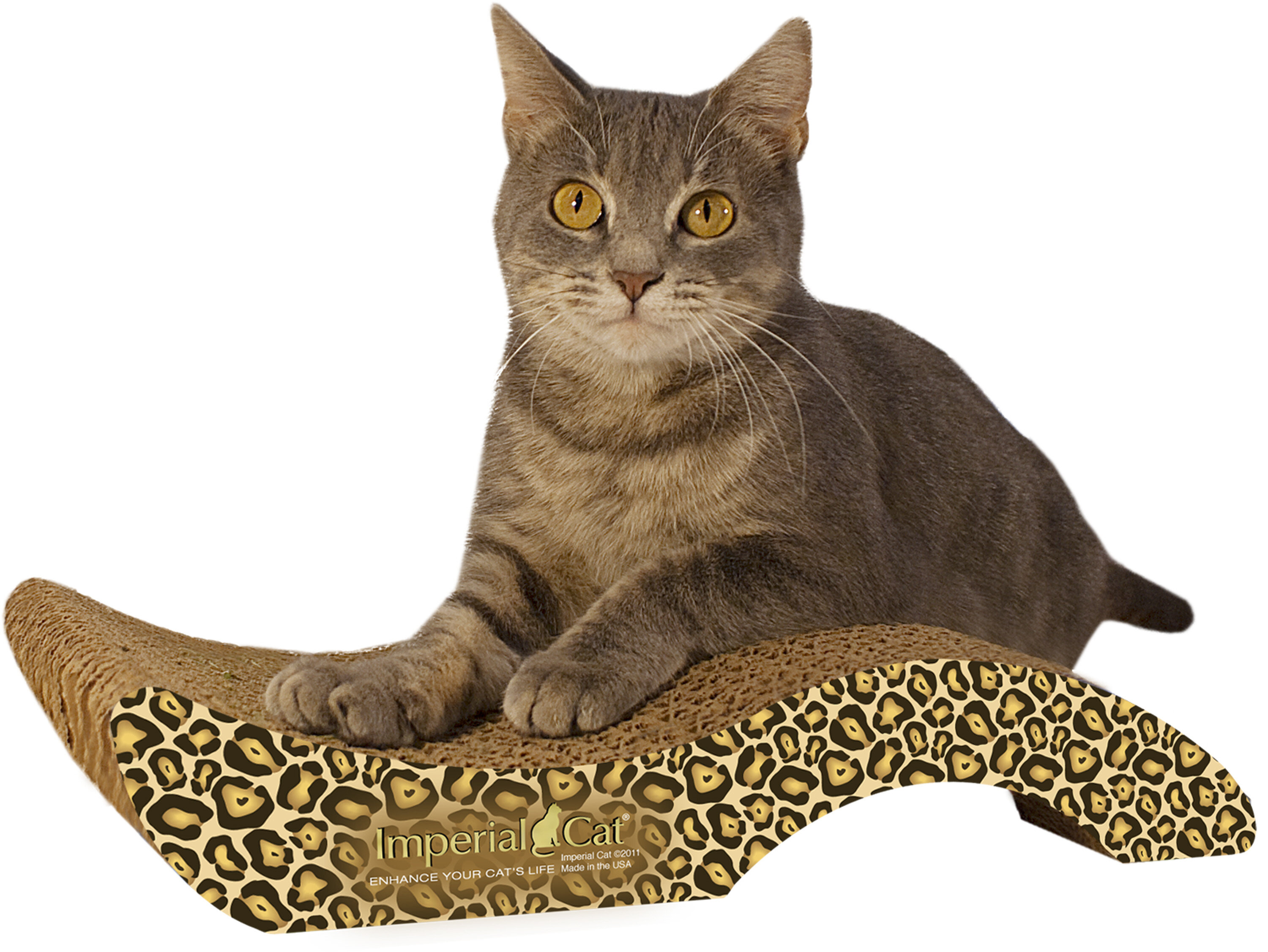 Cardboard Cat Scratch Pad Catnip Bag Included Scratcher Board