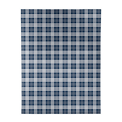 Plaid Indoor Rug