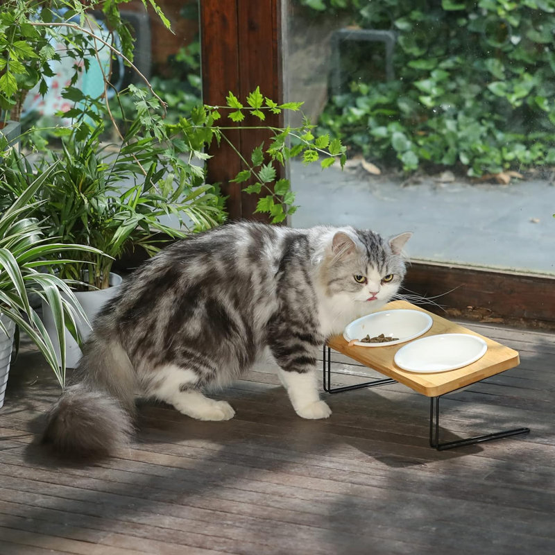 Roshonna Elevated Feeder