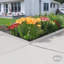 Bordure de jardin-84751532-84751533
