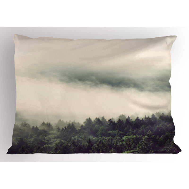 Ensemble de 2 taies décoratives Ambesonne Fog, H 20 po x l 36 po