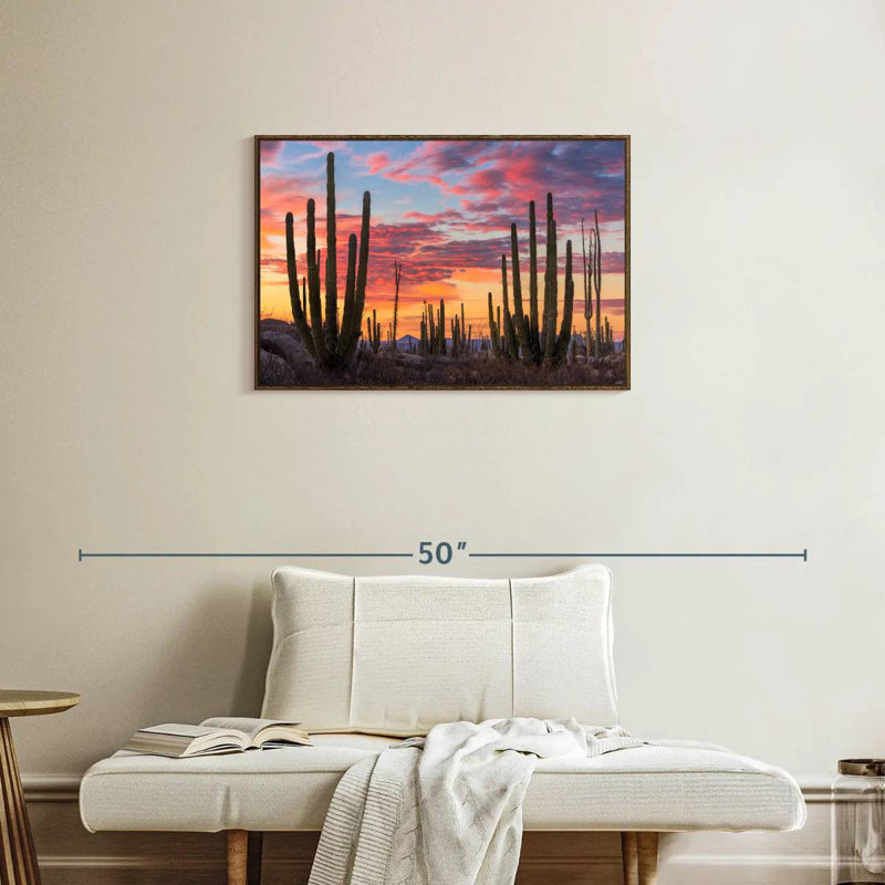 Lever de soleil de Baja California, Cadre flottant noyer, 31 po x 21 po