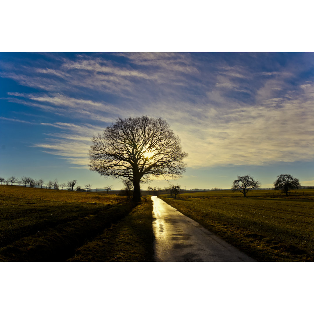 Sonnenaufgang an einem kalten Wintermorgen von Wicki58 - Drucken