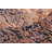 JeVon Wool Oriental Indoor Rug