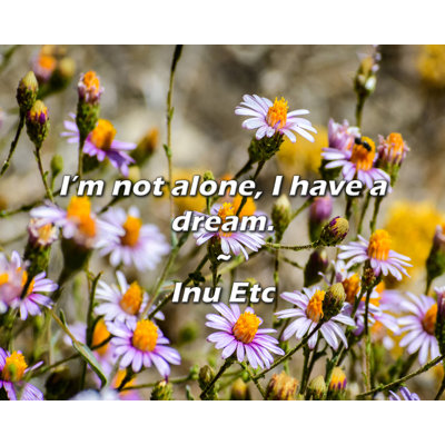 Inu Etc Quote: I’m not alone, I have a dream.