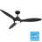 Surea 52'' Ceiling Fan with LED Lights-112461112