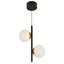 Capri 11-in 100-277V 2-Light ETL Certified Integrated LED Height Adjustable Globe Pendant Light