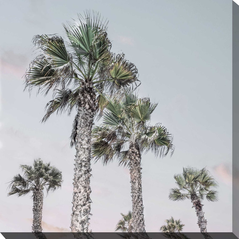 «Palm up II» par Natalie Carpentieri - Peinture, L 18 po x H 18 po, Toile tendue