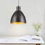 Luminaire suspendu simple à 1 lumière Randals-1499621812
