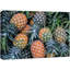 Ananas tropical, plage, ananas frais, nourriture et cuisson, photographie de cuisine, décoration murale rustique-98161162