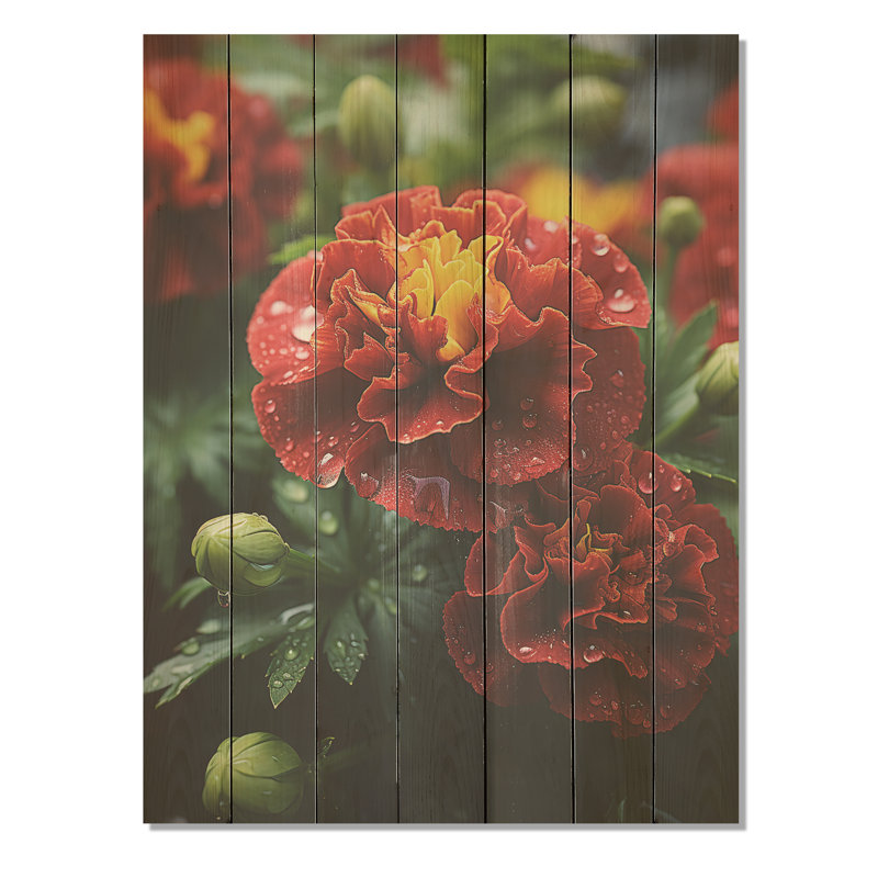 Red Marigold Medley - souci sur bois, H 20 po x l 10 po