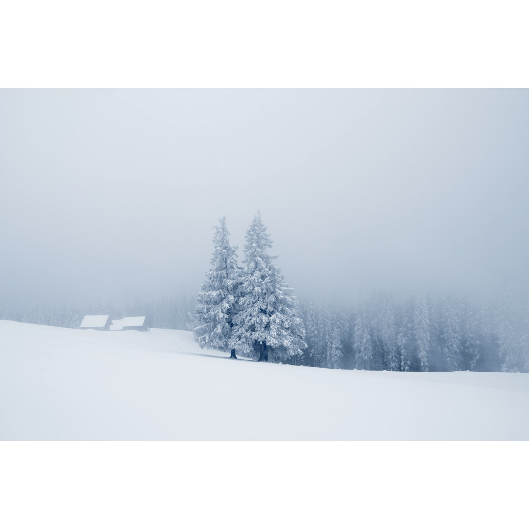 Verschneiter Wald von Misha Kaminsky - Ohne Rahmen auf Leinwand