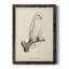 Salamanca French Owls IV - reproduction de photo sur toile-88378420-88378417