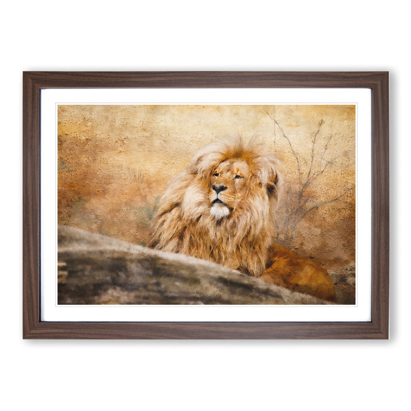 Lion Vol.1 - Picture Frame Graphic Art, 27cm H x 36cm W x 2cm D, Walnut Framed