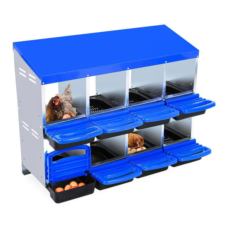 Boîte de nidification pour poulets en acier galvanisé avec plateau à œufs enroulable, ventilation et support mural / support, boîte de poulailler 6/8/10 trous