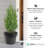 Tierra Verde Baritone Planter, Indoor Outdoor Self Watering Pot-855569083
