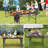 53.15" Rectangular Adjustable Portable Folding Table