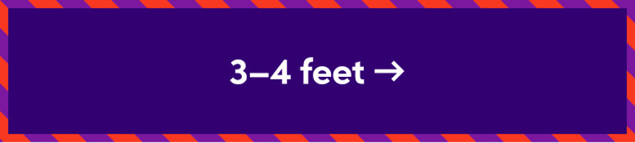 3-4 feet tall Christmas trees